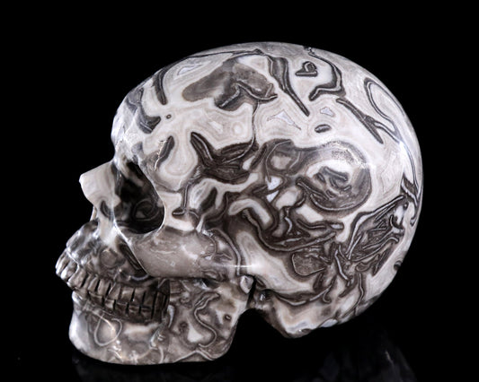 Nicedony 4.4" Black Crazy Agate Hand Carved Crystal Skull Sculpture