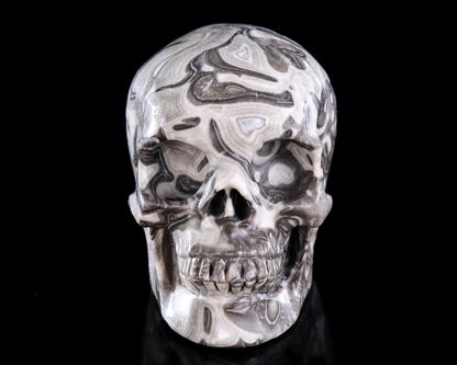 Nicedony 4.4" Black Crazy Agate Hand Carved Crystal Skull Sculpture - View 2