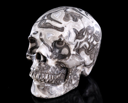 Nicedony 4.4" Black Crazy Agate Hand Carved Crystal Skull Sculpture - View 3