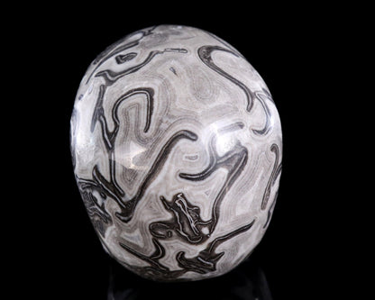 Nicedony 4.4" Black Crazy Agate Hand Carved Crystal Skull Sculpture - View 5