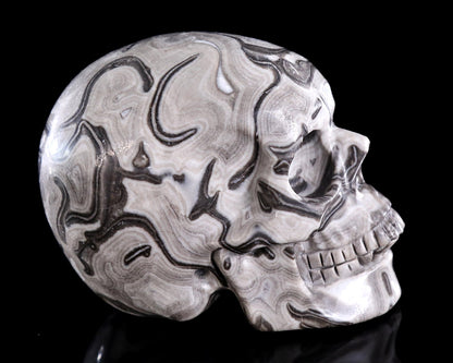 Nicedony 4.4" Black Crazy Agate Hand Carved Crystal Skull Sculpture - View 6