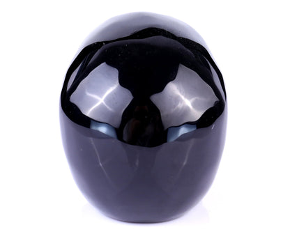 Nicedony 4.4" Black Obsidian Hand Carved Realistic Skull Sculpture - View 5