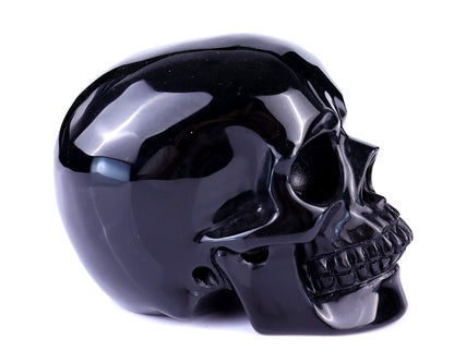 Nicedony 4.4" Black Obsidian Hand Carved Realistic Skull Sculpture - View 3