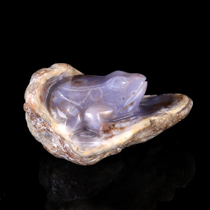 Nicedony 4.4" Blue Chalcedony Hand Carved Crystal Frog Sculpture - View 3