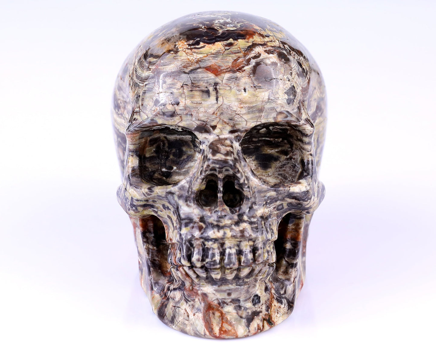 Nicedony 4.4" Coin Agate Hand Carved Realistic Skull Sculpture - View 9