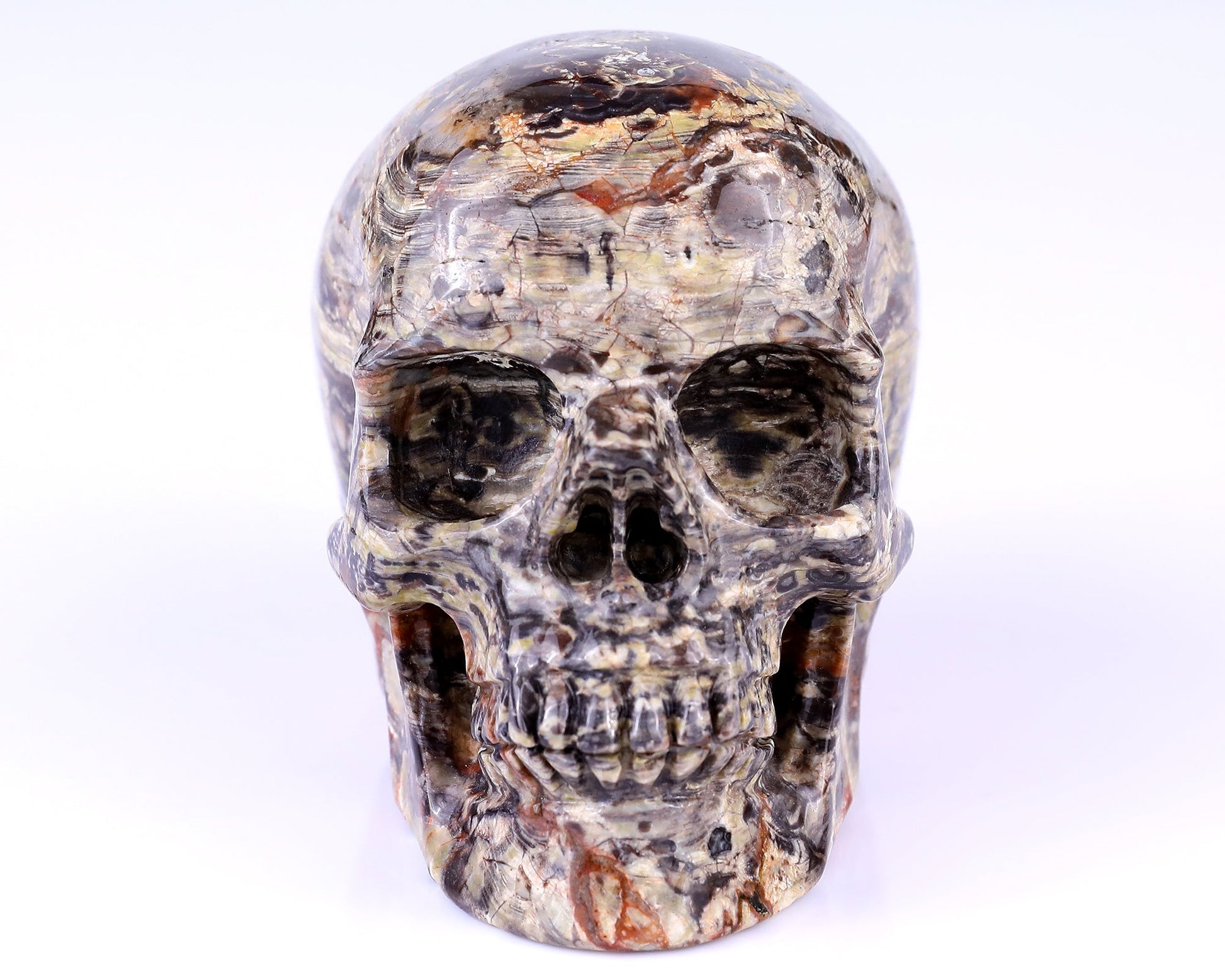Nicedony 4.4" Coin Agate Hand Carved Realistic Skull Sculpture - View 9