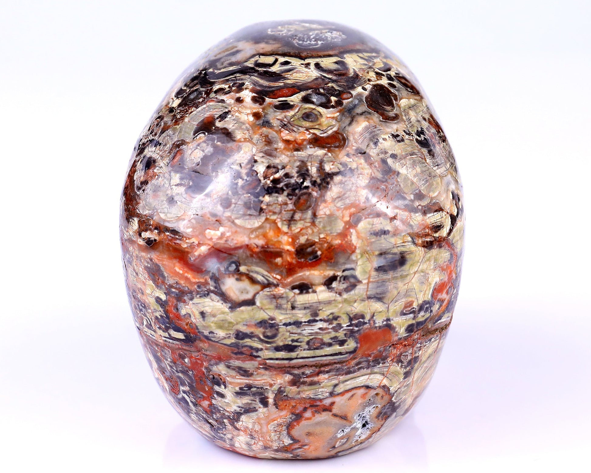 Nicedony 4.4" Coin Agate Hand Carved Realistic Skull Sculpture - View 12