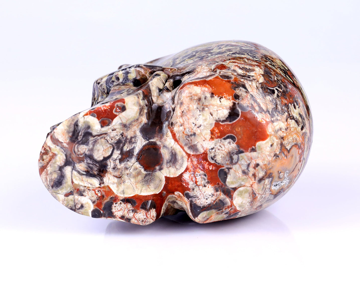 Nicedony 4.4" Coin Agate Hand Carved Realistic Skull Sculpture - View 13