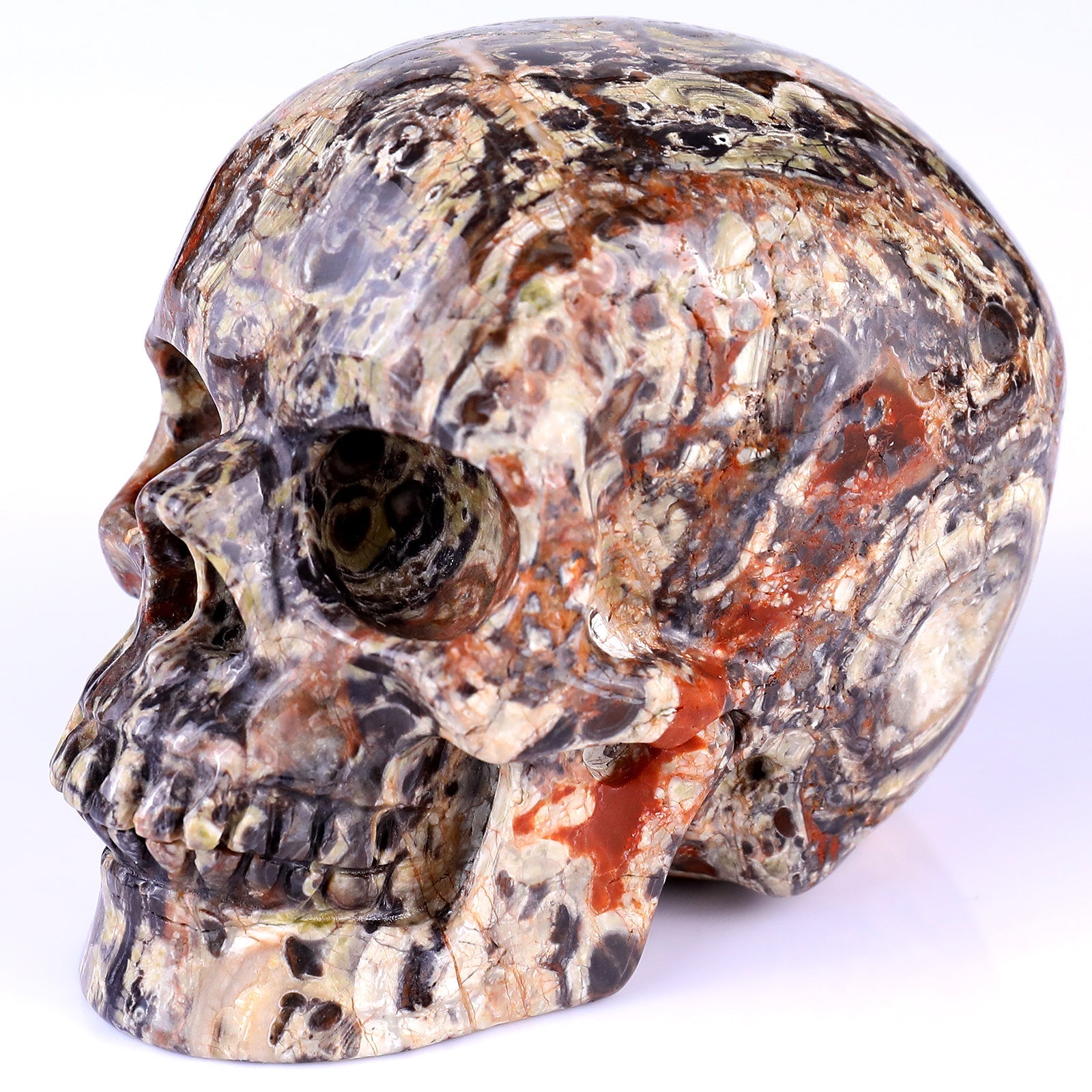 Nicedony 4.4" Coin Agate Hand Carved Realistic Skull Sculpture - View 7