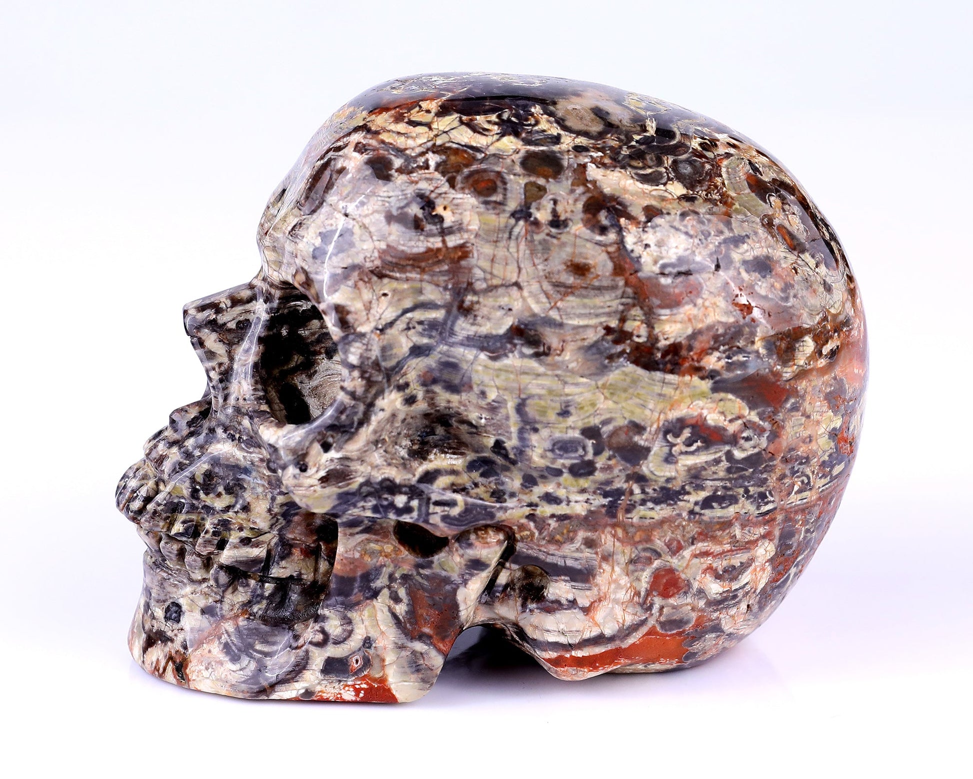 Nicedony 4.4" Coin Agate Hand Carved Realistic Skull Sculpture - View 11