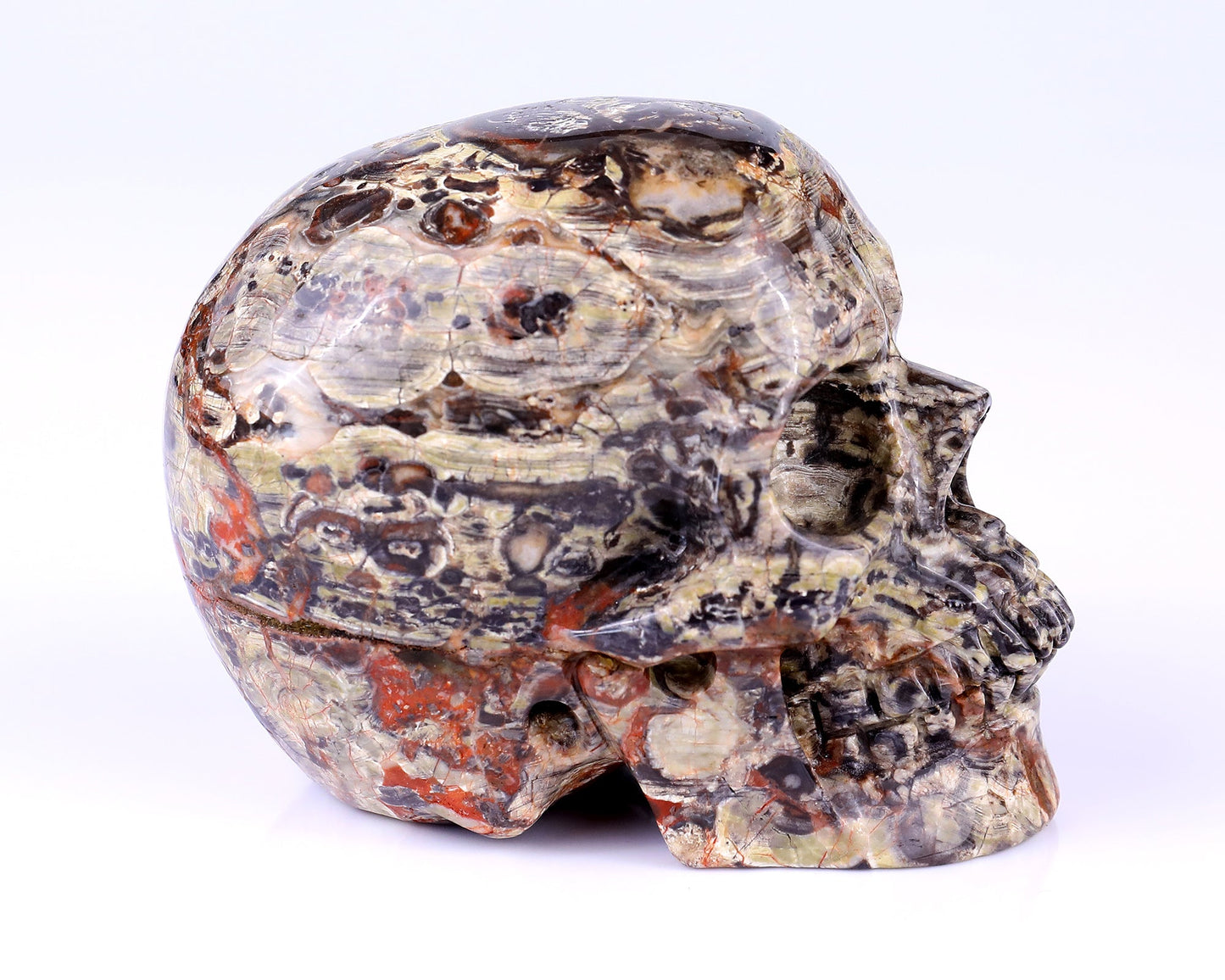 Nicedony 4.4" Coin Agate Hand Carved Realistic Skull Sculpture - View 10