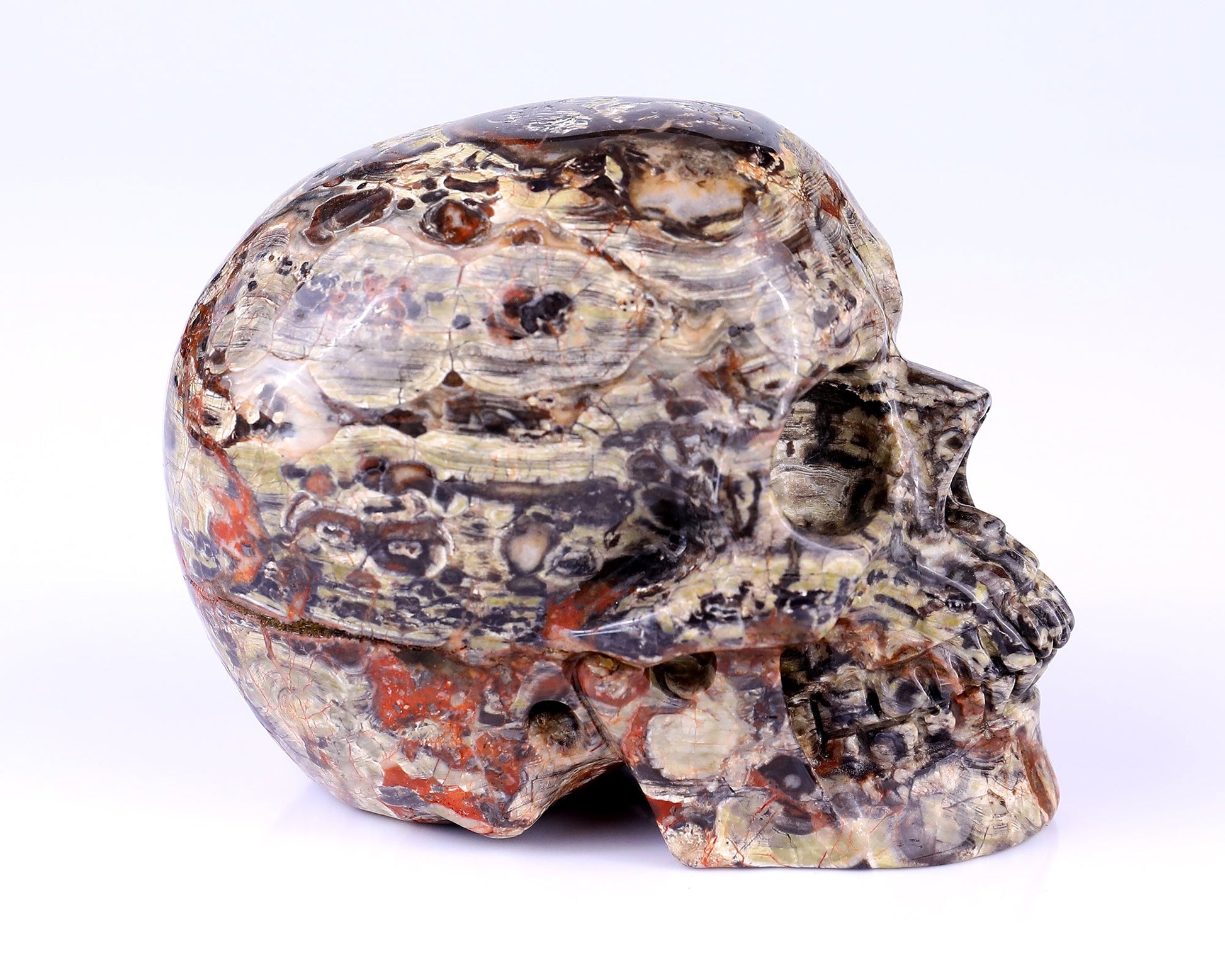Nicedony 4.4" Coin Agate Hand Carved Realistic Skull Sculpture - View 10