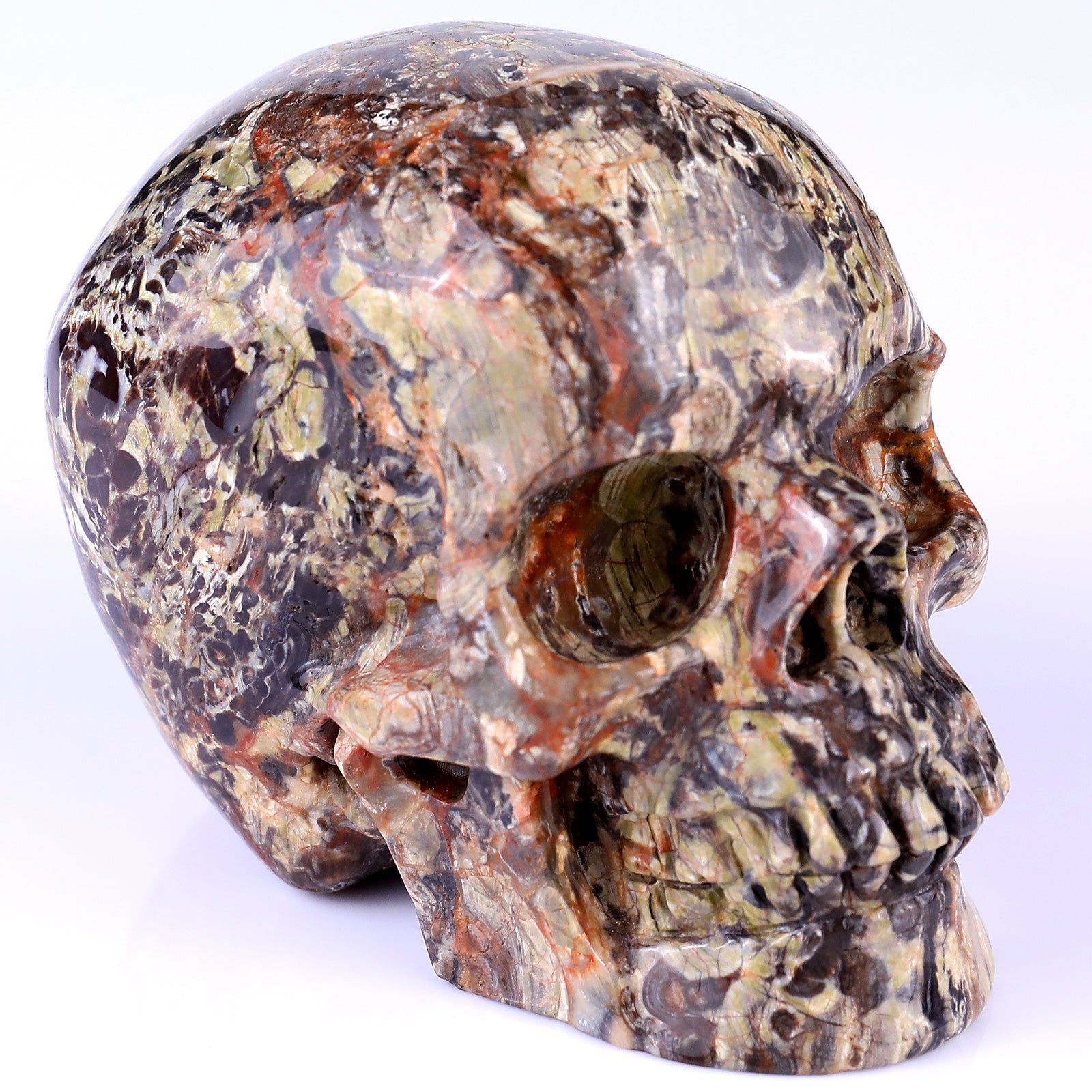 Nicedony 4.4" Coin Agate Hand Carved Realistic Skull Sculpture - #2100251