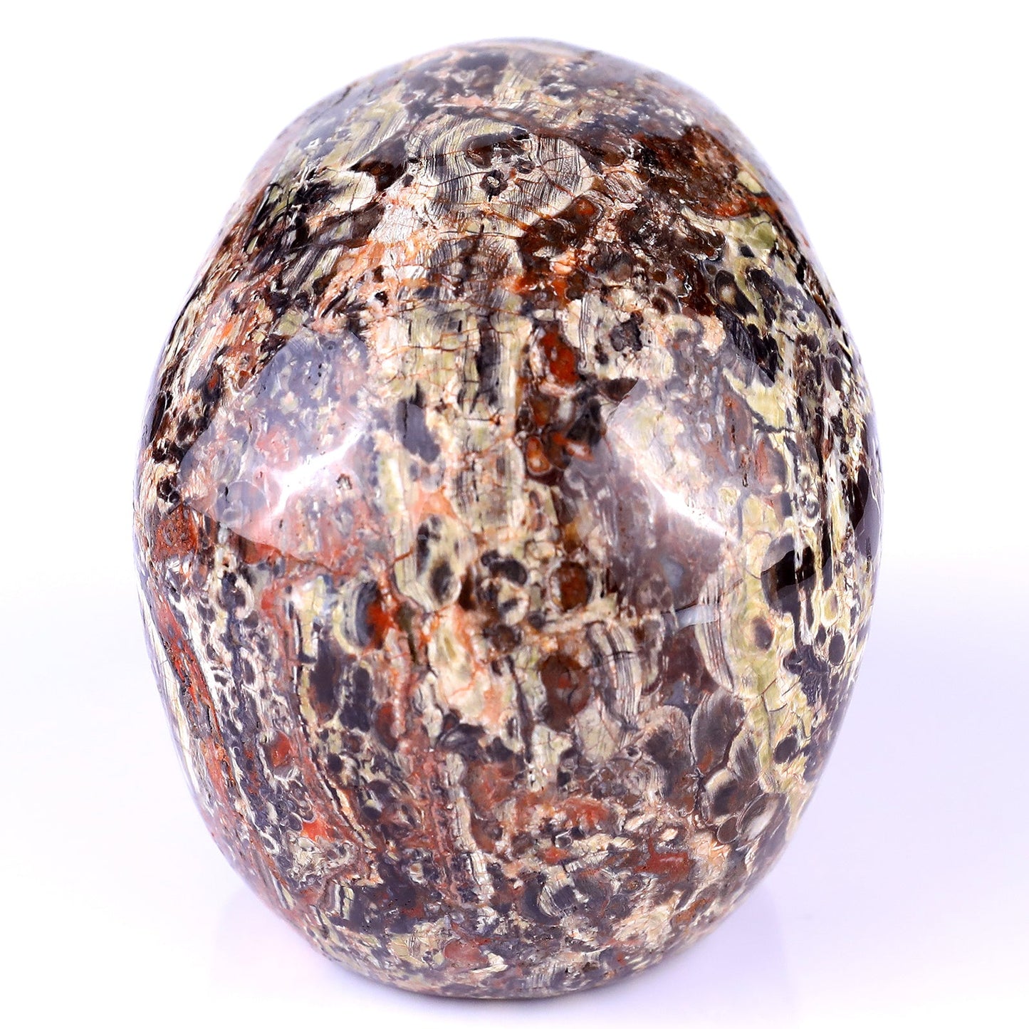Nicedony 4.4" Coin Agate Hand Carved Realistic Skull Sculpture - View 5