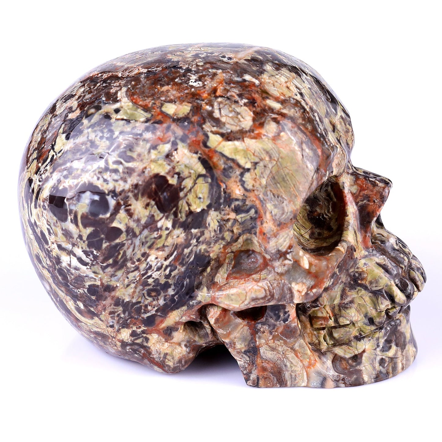 Nicedony 4.4" Coin Agate Hand Carved Realistic Skull Sculpture - View 3