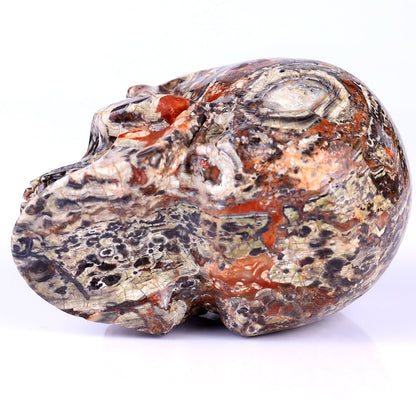 Nicedony 4.4" Coin Agate Hand Carved Realistic Skull Sculpture - View 6