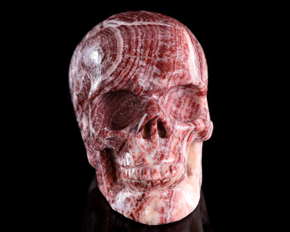 Nicedony 4.4" Red Zebra Agate Hand Carved Crystal Skull Sculpture - View 7