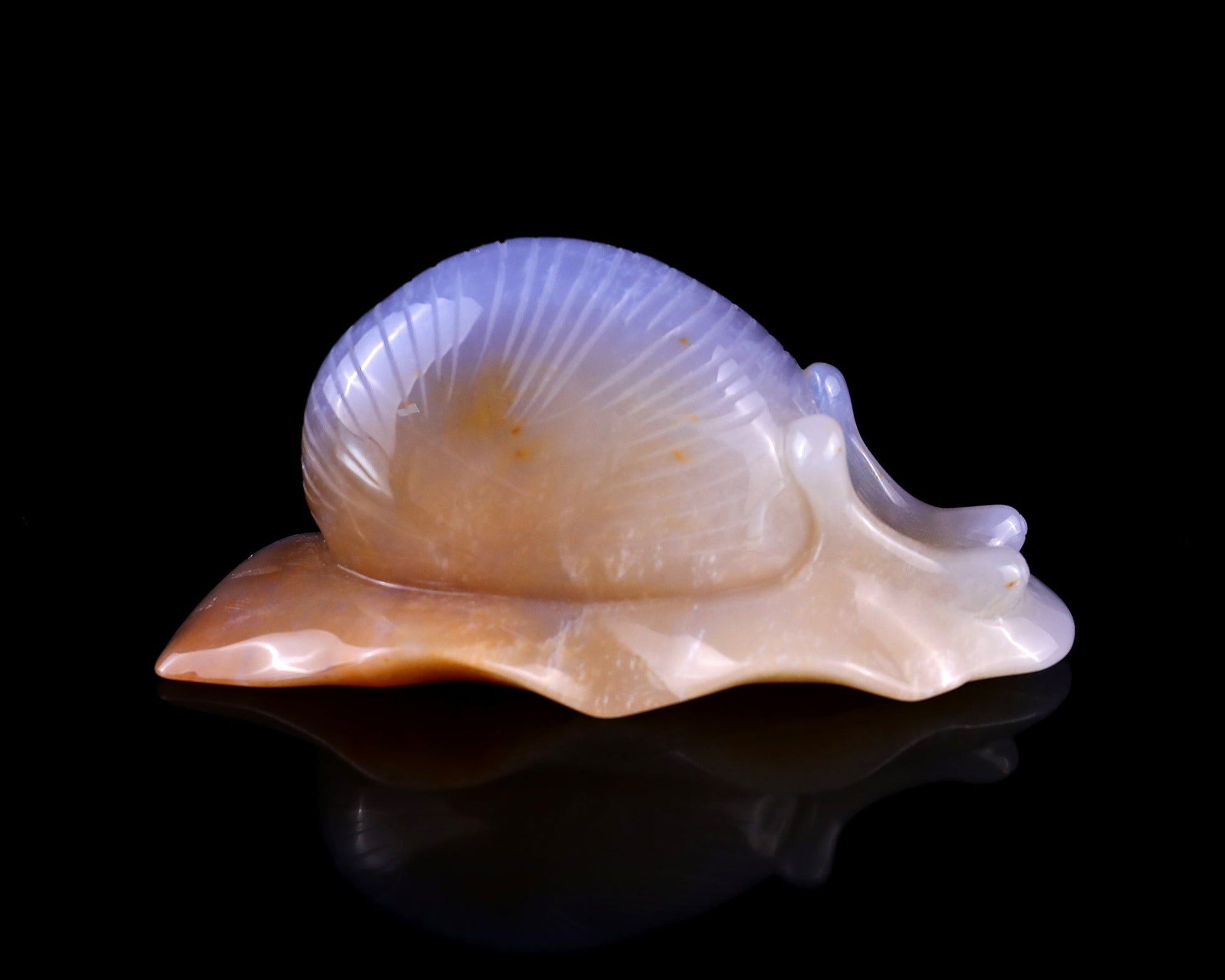 Nicedony 4.5" Chalcedony Hand Carved Crystal Snail Sculpture - View 3