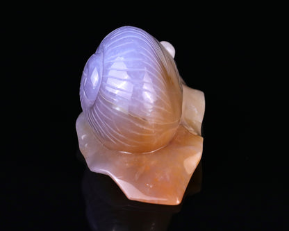 Nicedony 4.5" Chalcedony Hand Carved Crystal Snail Sculpture - View 5
