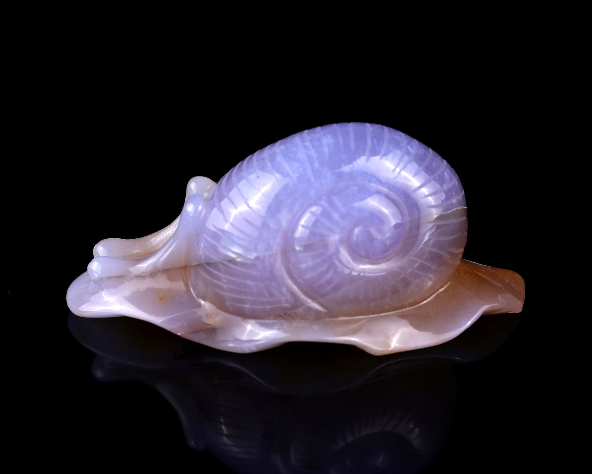 Nicedony 4.5" Chalcedony Hand Carved Crystal Snail Sculpture - View 7