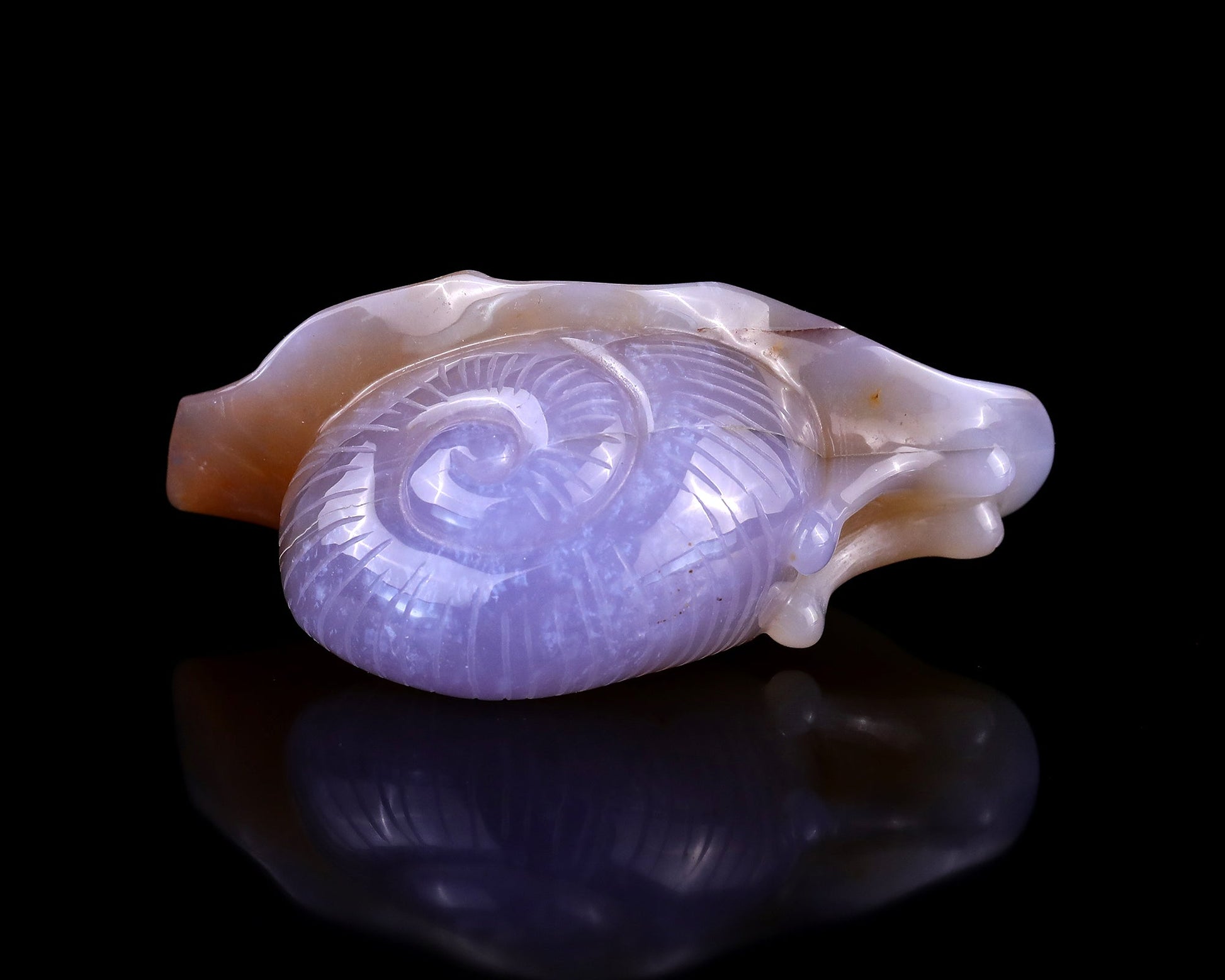 Nicedony 4.5" Chalcedony Hand Carved Crystal Snail Sculpture - View 9