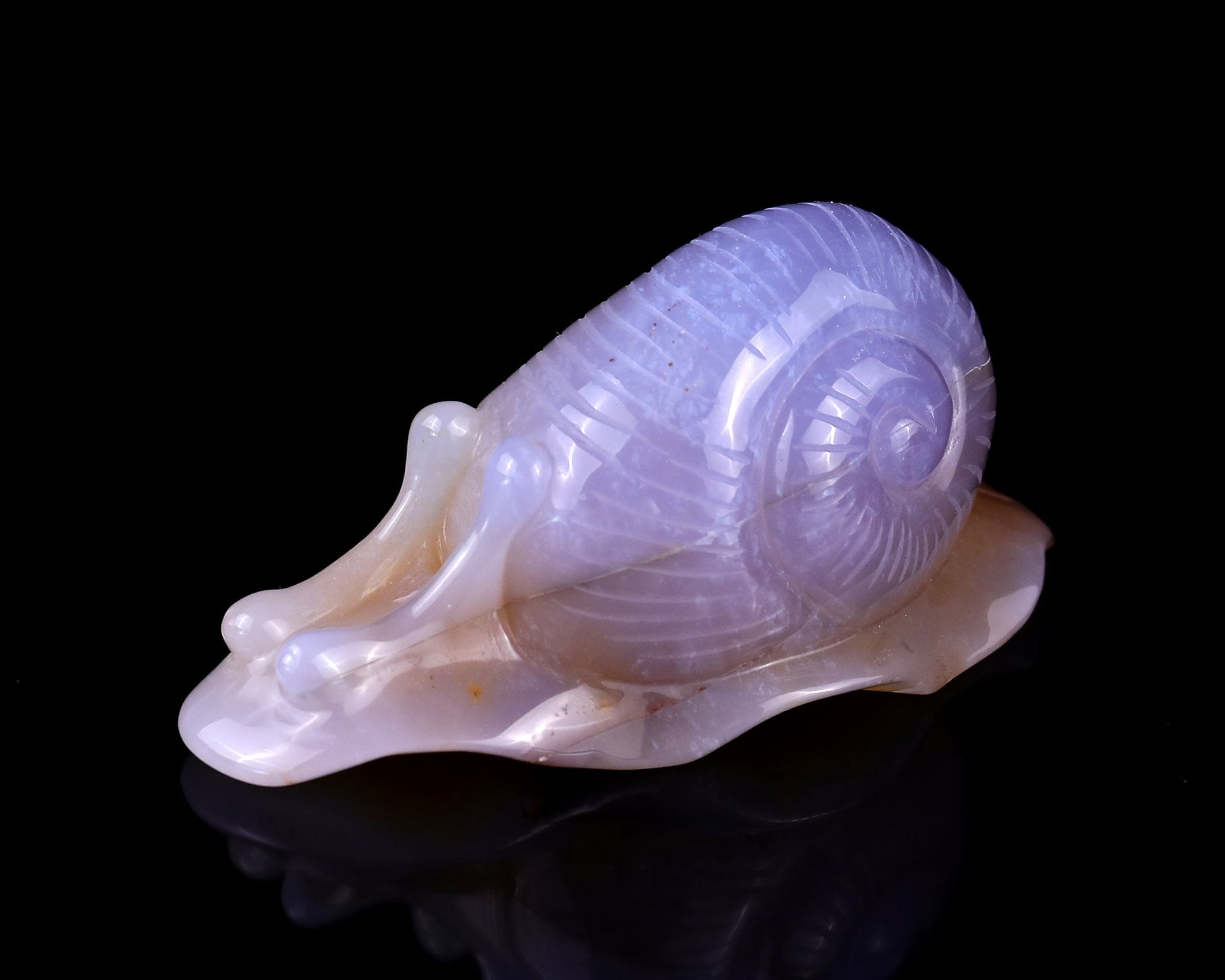 Nicedony 4.5" Chalcedony Hand Carved Crystal Snail Sculpture - View 10