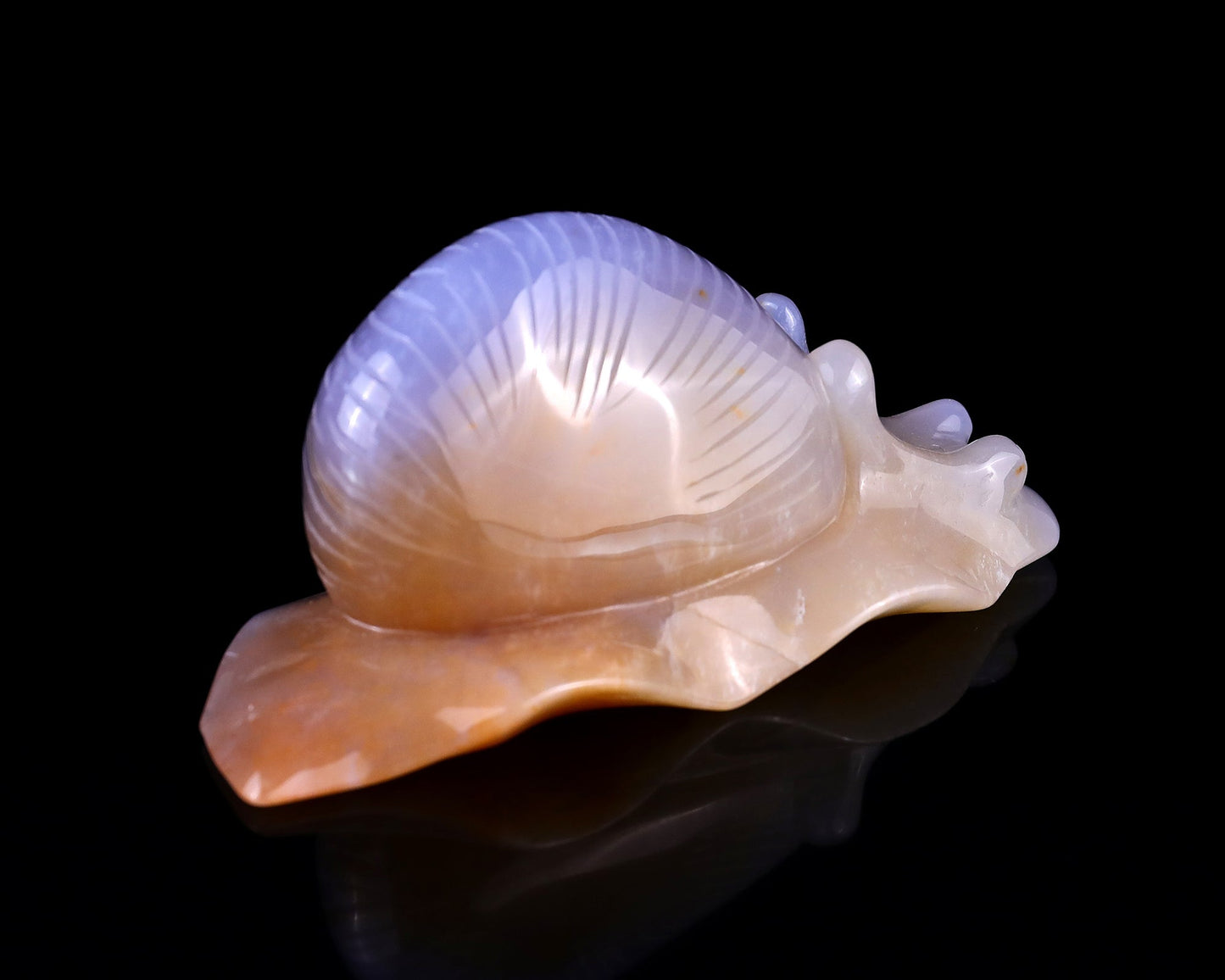 Nicedony 4.5" Chalcedony Hand Carved Crystal Snail Sculpture - View 4