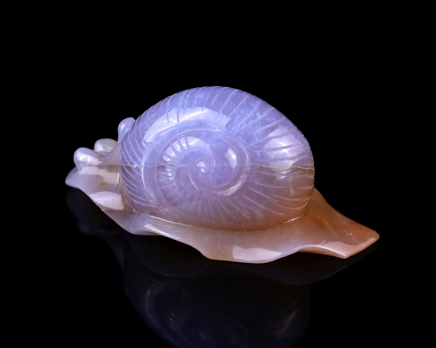Nicedony 4.5" Chalcedony Hand Carved Crystal Snail Sculpture - View 6
