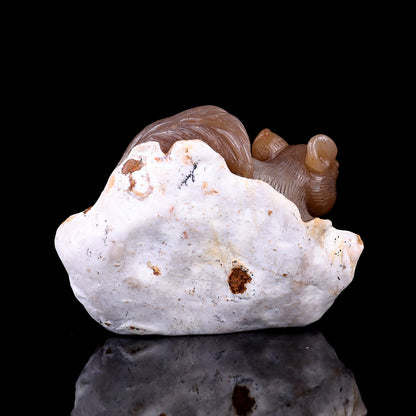 Nicedony 4.5" Chalcedony Hand Carved Crystal Squirrel Sculpture - View 12
