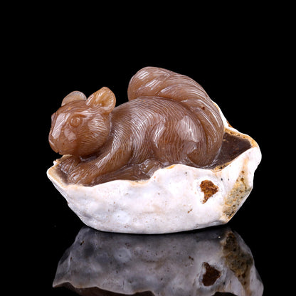 Nicedony 4.5" Chalcedony Hand Carved Crystal Squirrel Sculpture - View 11