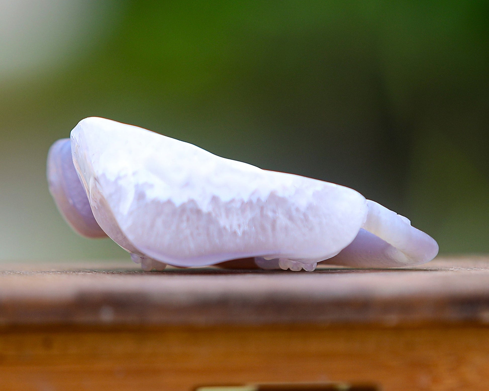 Nicedony 4.6" Amethyst Geode Agate Hand Carved Lizard Sculpture - View 10