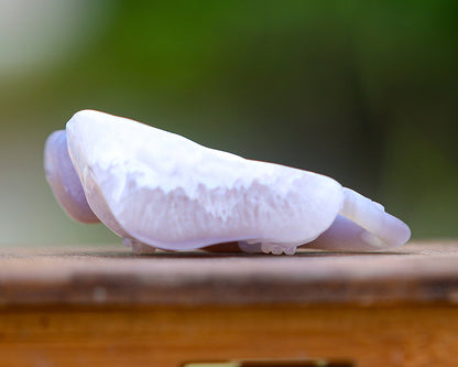 Nicedony 4.6" Amethyst Geode Agate Hand Carved Lizard Sculpture - View 10