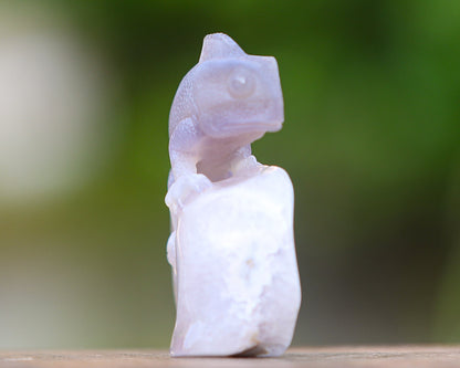 Nicedony 4.6" Amethyst Geode Agate Hand Carved Lizard Sculpture - View 5