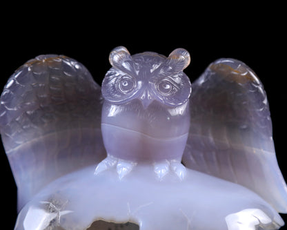 Nicedony 4.6" Blue Chalcedony Hand Carved Crystal Owl Sculpture - View 2