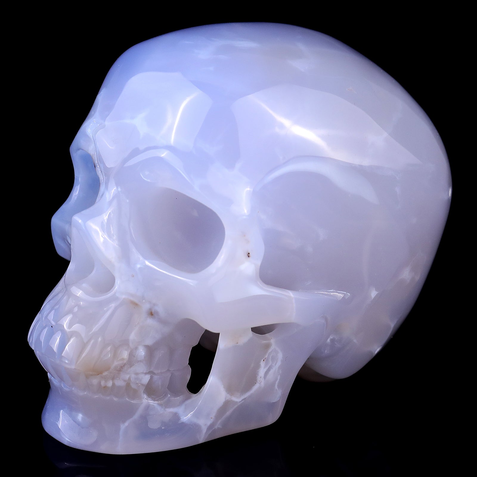Nicedony 4.6" Blue Chalcedony Hand Carved Realistic Skull Sculpture - View 7