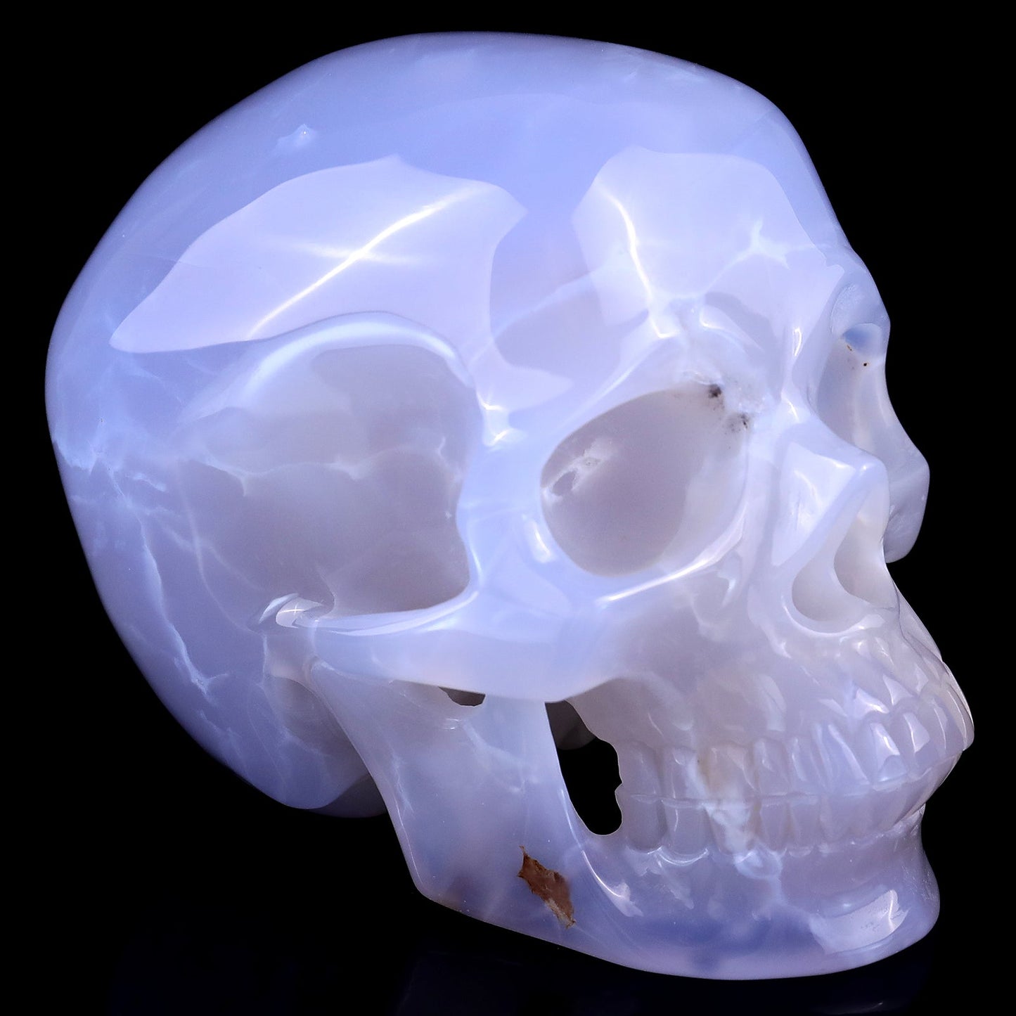 Nicedony 4.6" Blue Chalcedony Hand Carved Realistic Skull Sculpture