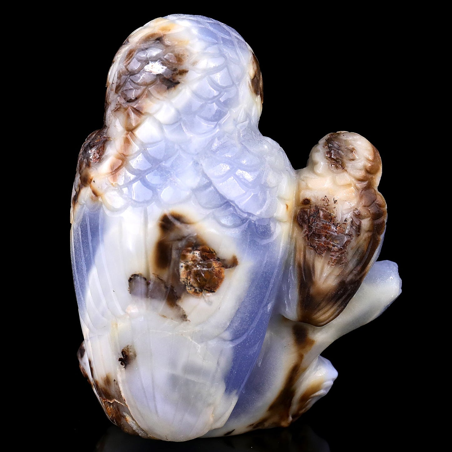 Nicedony 4.7" Blue Chalcedony Hand Carved Crystal Owl Sculpture - View 5