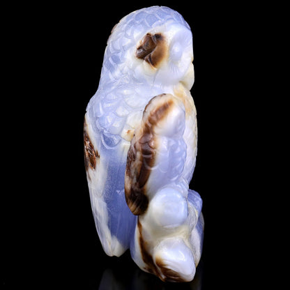 Nicedony 4.7" Blue Chalcedony Hand Carved Crystal Owl Sculpture - View 3