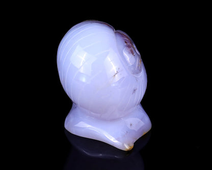 Nicedony 4.7" Blue Chalcedony Hand Carved Crystal Snail Sculpture - View 5