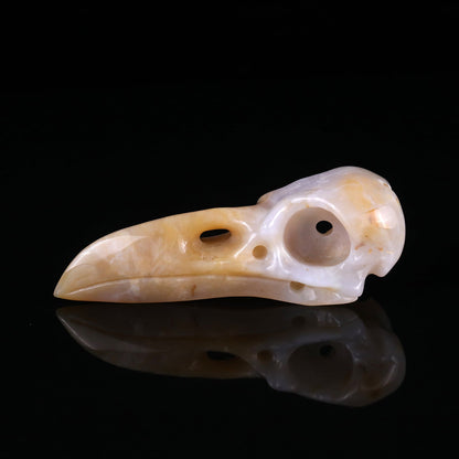 Nicedony 4.7" Chalcedony Hand Carved Crystal Raven Skull Sculpture - View 4