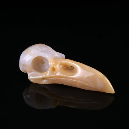 Nicedony 4.7" Chalcedony Hand Carved Crystal Raven Skull Sculpture - #2100059