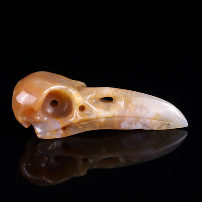 Nicedony 4.7" Chalcedony Hand Carved Crystal Raven Skull Sculpture - View 9