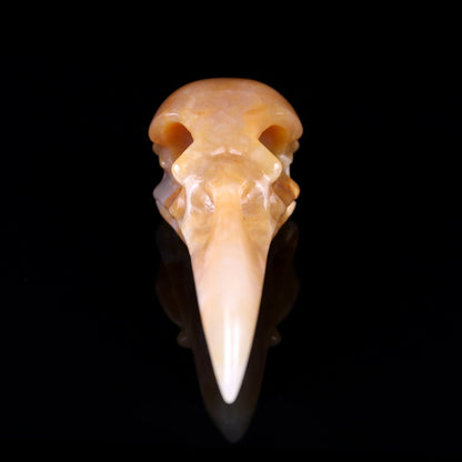 Nicedony 4.7" Chalcedony Hand Carved Crystal Raven Skull Sculpture - View 12