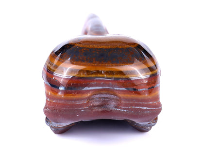 Nicedony 4.7" Tiger Iron Eye Hand Carved Raven Skull Sculpture - View 5