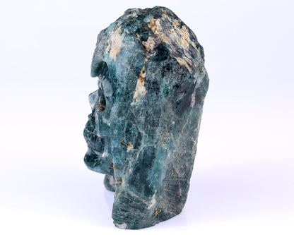 Nicedony 4.8" Blue Apatite Hand Carved Skull Sculpture - View 4