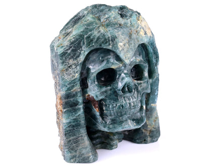 Nicedony 4.8" Blue Apatite Hand Carved Skull Sculpture