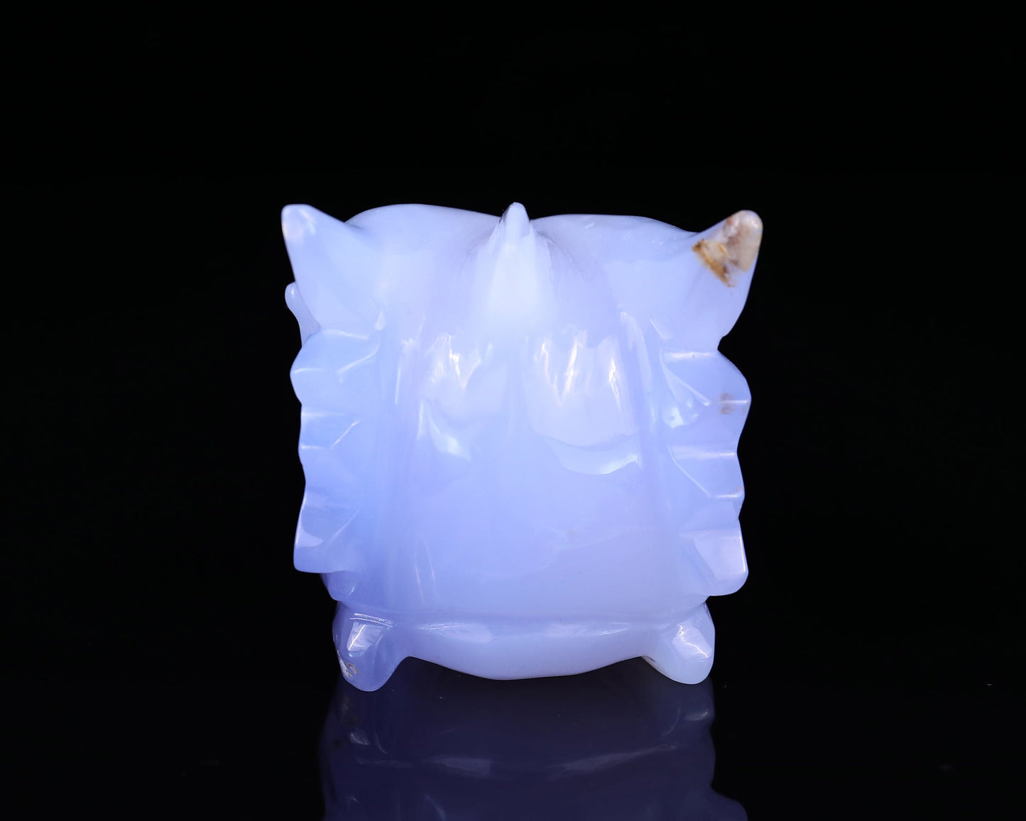 Nicedony 4.8" Blue Chalcedony Hand Carved Dragon Skull Sculpture - View 5