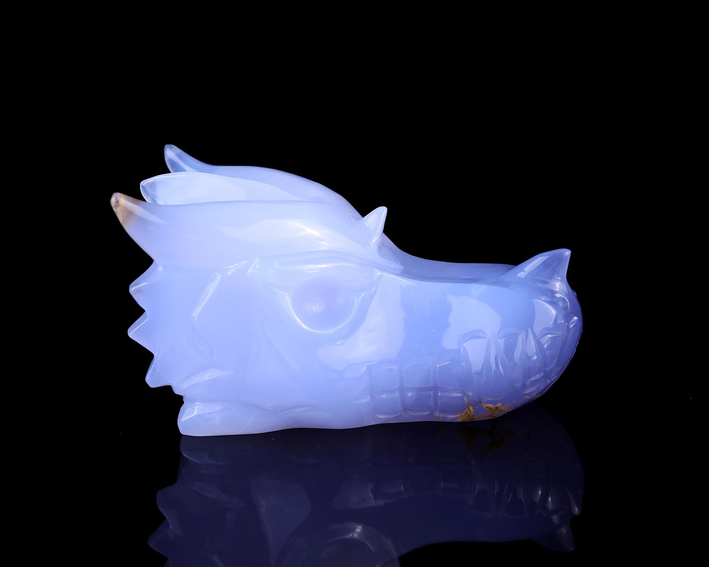 Nicedony 4.8" Blue Chalcedony Hand Carved Dragon Skull Sculpture - View 3