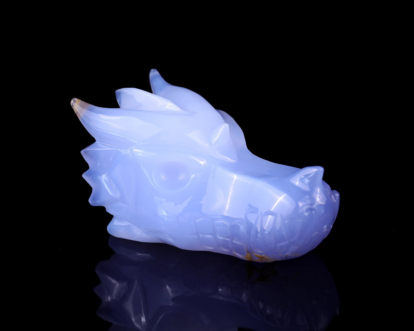 Nicedony 4.8" Blue Chalcedony Hand Carved Dragon Skull Sculpture - #5100050