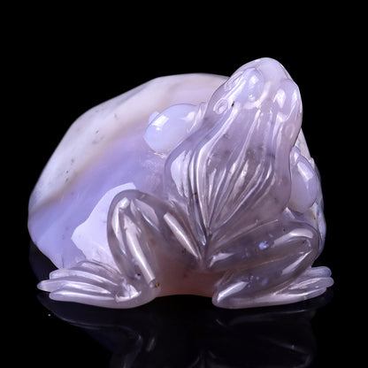 Nicedony 4.8" Geode Agate Hand Carved Crystal Frog Sculpture - View 4